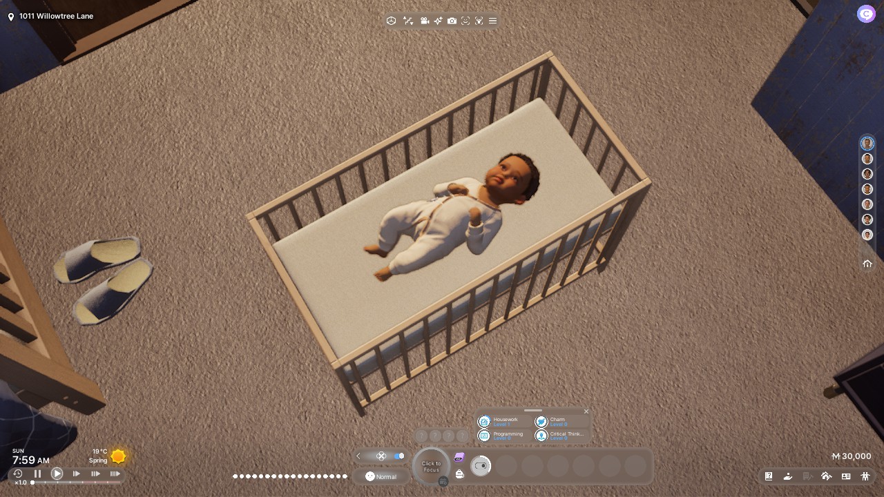 Male Newborn